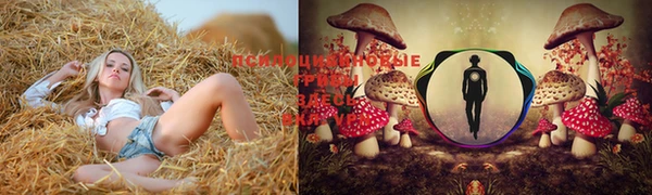 стафф Липки