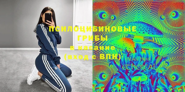 амф Мегион