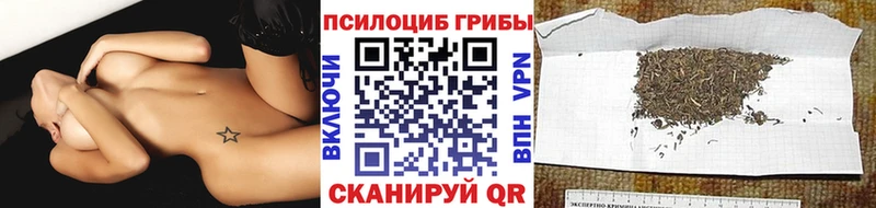 kraken зеркало  Шлиссельбург  Галлюциногенные грибы Magic Shrooms 
