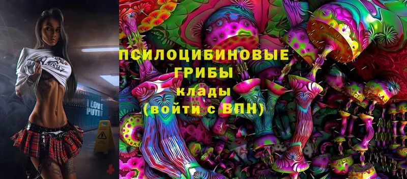 купить  сайты  Шлиссельбург  mega зеркало  Галлюциногенные грибы Magic Shrooms 